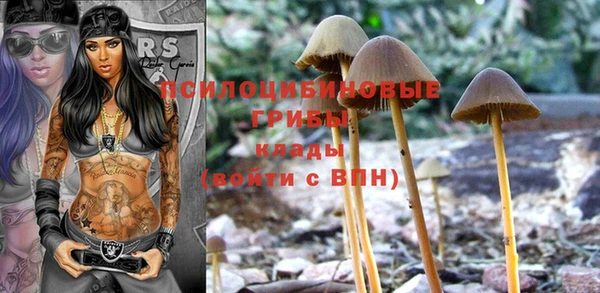 ПСИЛОЦИБИНОВЫЕ ГРИБЫ Янаул