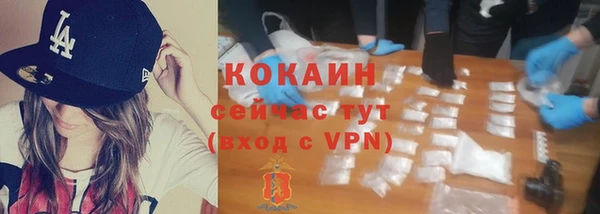 ПСИЛОЦИБИНОВЫЕ ГРИБЫ Янаул
