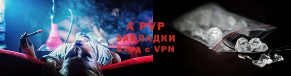 ПСИЛОЦИБИНОВЫЕ ГРИБЫ Янаул