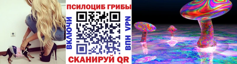 Купить где  Обоянь  Псилоцибиновые грибы мицелий 