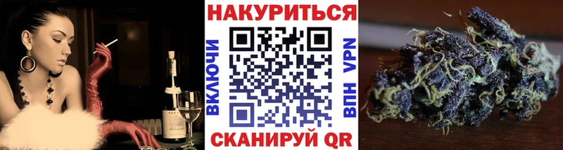 Бошки Шишки план  Купить где  Обоянь 